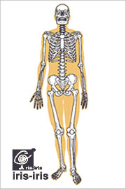 当施術所の痛みについての考え方