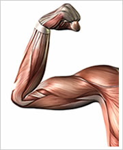 当施術所の痛みについての考え方